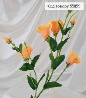 Штучна квітка Еустоми, СВІТЛО-ПОМАРАНЧЕВА, 4 квітки + 3 бутони, на металевому стержні, 82см 551159 фото