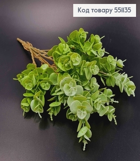 Штучна декоративна зелень, 7 гілочок, Евкаліпт, салатового кольору на металевому стержні, 35см 551135 фото