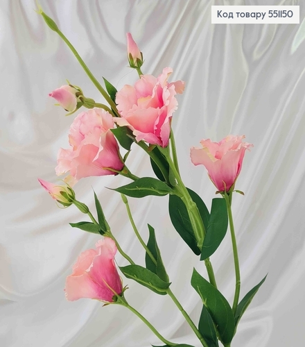 Искусственный цветок Эустомы, РОЗОВОЕ ОМБРЕ, 4 цветка + 3 бутона, на металлическом стержне, 82см. 551150 фото 1