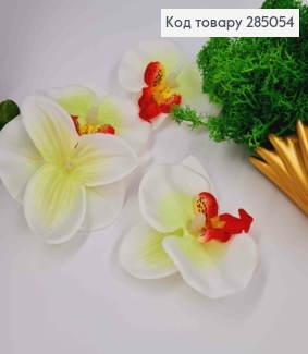 Штучний додаток Орхідея БІЛОГО кольору, 7*6,5см 285054 фото