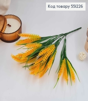 Колоски пшениці (21шт) золотисно-оранжевого кольору, пучок 34см, 551226 фото