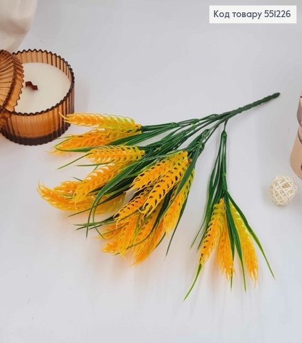 Колоски пшениці (21шт) золотисно-оранжевого кольору, пучок 34см, 551226 фото 1