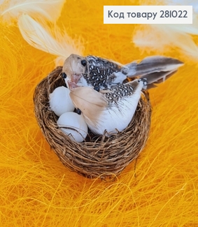 Декоративний набір гніздо з пташками та яйцями 8х9 см 281022 фото