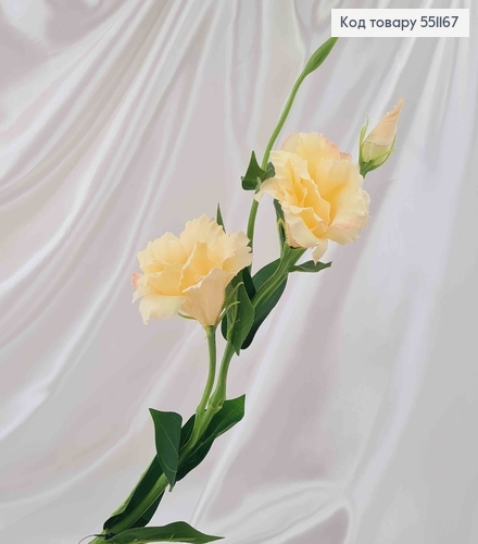Штучна квітка Еустоми, АЙВОРІ, 2 квітки + 1 бутон, на металевому стержні, 66см 551167 фото 1