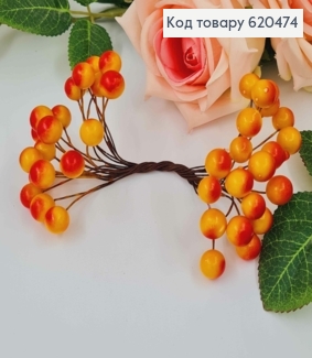 Пучок веточек Калины Оранжево-КРАСНАЯ, 13см, 25веточек (50бубочек) диам. 12мм 285007 фото