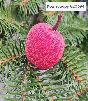 Яблочко в росе пластик 4 см 620394 фото