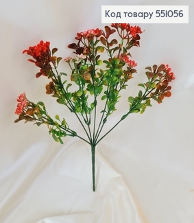 Искусственный цветок каланхоэ красный пластик из 7 веточек на металлическом стержне 30см. 551056 фото