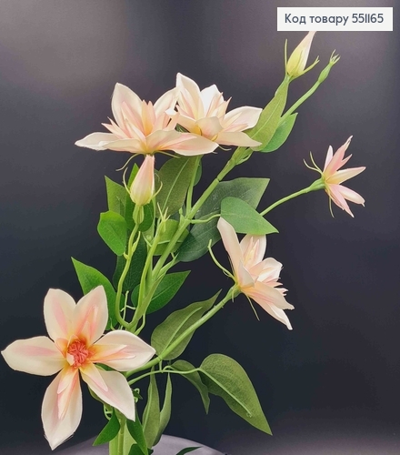 Штучна квітка Клематіса, БІЛО-РОЖЕВА, 5 квіток + 2 бутони, на металевому стержні, 83см 551165 фото 1