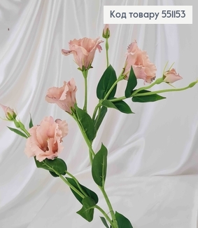 Штучна квітка Еустоми, ПУДРА, 4 квітки + 3 бутони, на металевому стержні, 82см 551153 фото