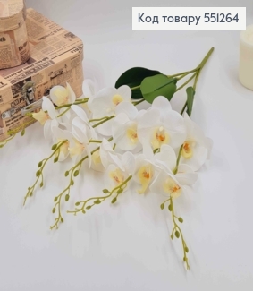 Композиція "5 гілочок БІЛОЇ  латексної орхідеї з листочками", висотою 55см, квіточки 7*8см  (15шт) 551264 фото