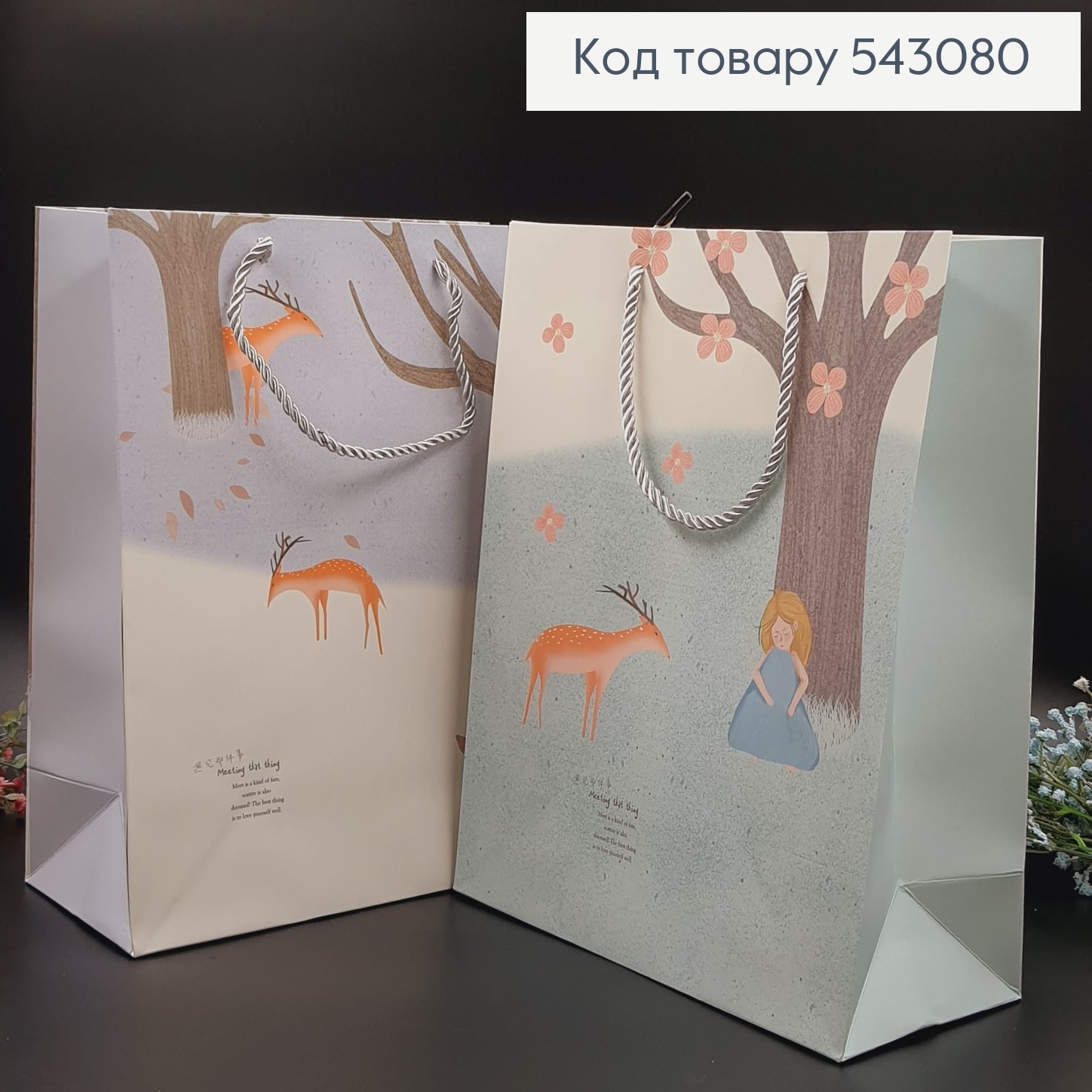 Пакет бумажный средний "Дом", 26х32х10см в асорт. 543080 фото 1