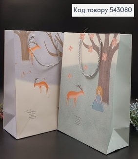 Пакет бумажный средний "Дом", 26х32х10см в асорт. 543080 фото