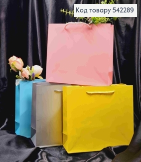 Пакет бумажный Однотонный, 25*20*9см, Цвета в ассортименте. 542289 фото