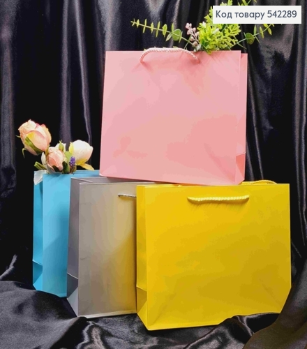 Пакет бумажный Однотонный, 25*20*9см, Цвета в ассортименте. 542289 фото 1