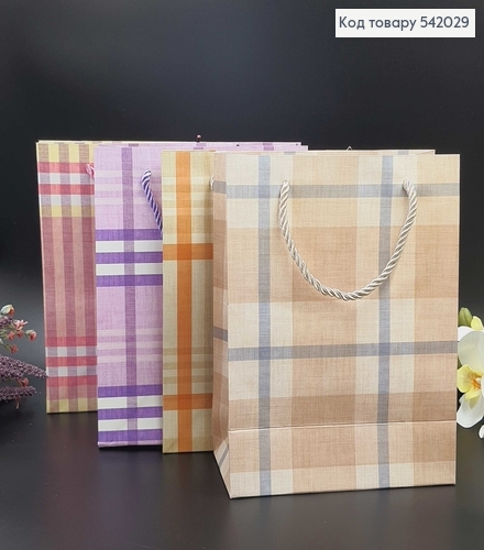 Пакет бумажный средний полоска 24х19 см в асс. 542029 фото 2