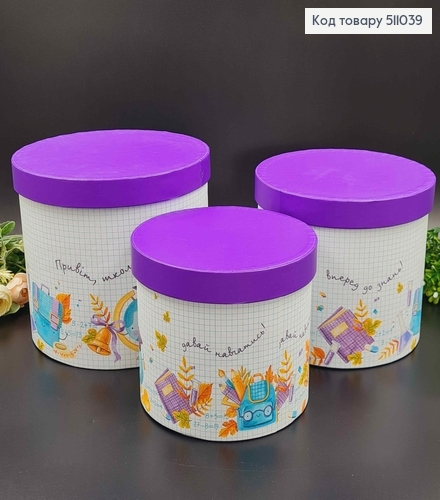 набор коробок, 3шт. "Привет школо!", 17,5*20,5см, 16*18,5см, 14*16,5см 511039 фото 2