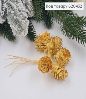 Пучок Шишок (6шт) ЖОВТОГО кольру зі ЗОЛОТИМ  блиском (шишка 2,5*2см, + металева гілочка 7см) 620432 фото