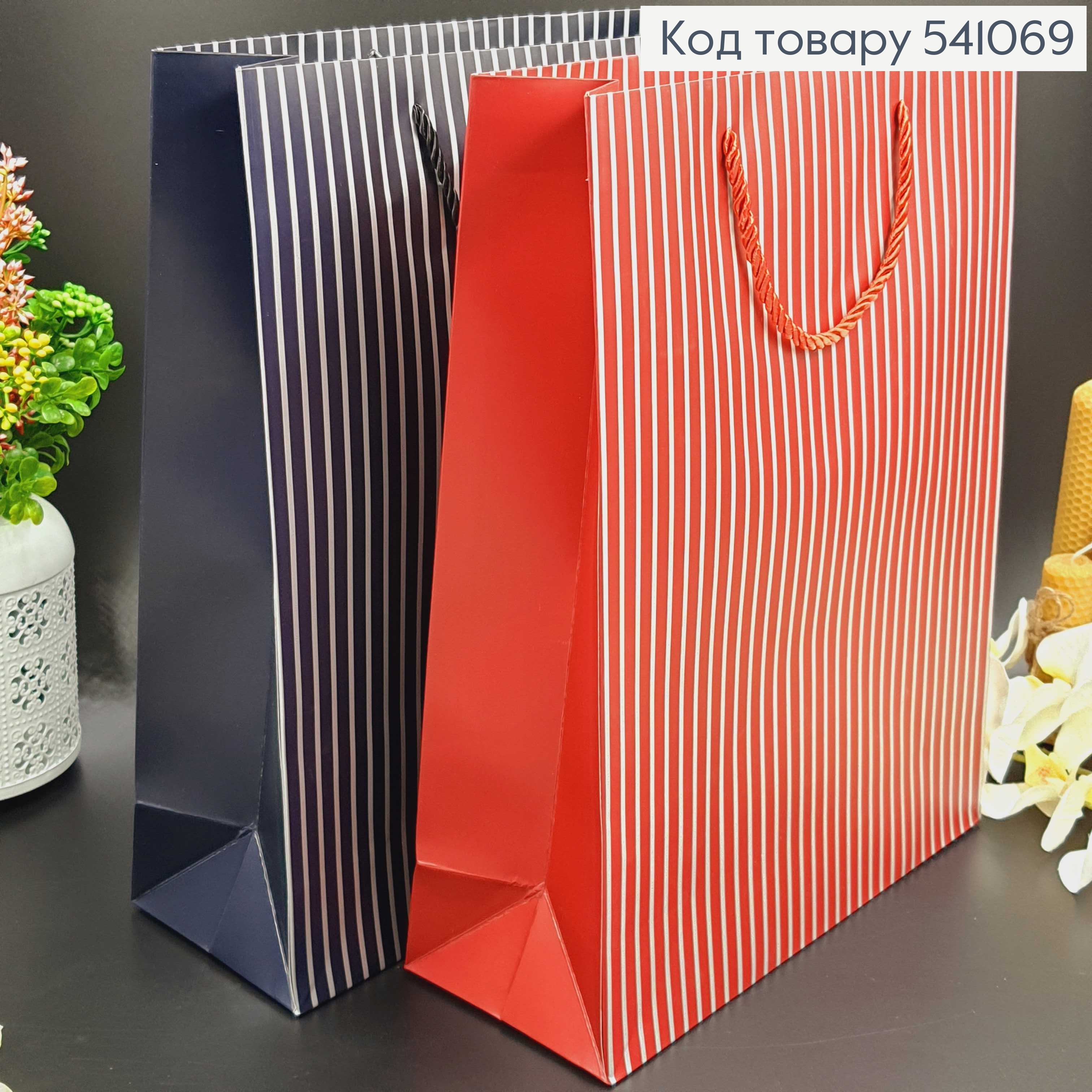 Пакет большой ПОЛОСКА 31*42*12 541069 фото 1