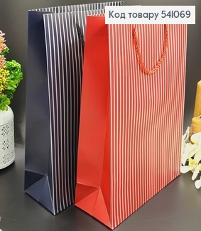 Пакет большой ПОЛОСКА 31*42*12 541069 фото