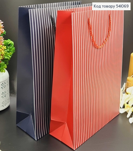 Пакет большой ПОЛОСКА 31*42*12 541069 фото 1