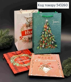 Пакет бумажный с Новогодним принтом, Merry Christmas, 23*18*10см, в ассортименте 543260 фото