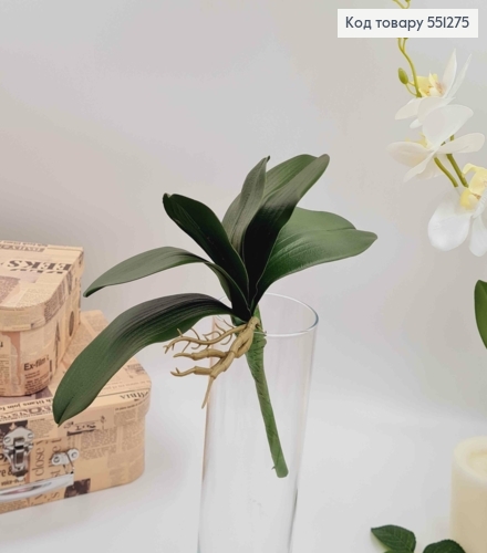 Латексные листочки ОРХИДЕИ (высота 27см), листочки длиной 16см, 13см, 9см 551275 фото 2