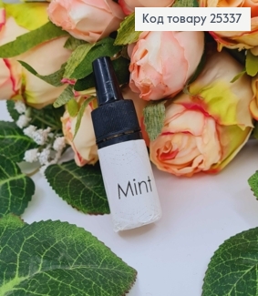 Заправка для ароматизаторів в авто, MINT , 15мл. 25337 фото