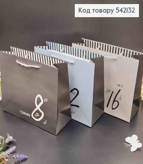 Пакет бумажный "Расчеты" 25,4*20*9,5см в ассорт. 542132 фото