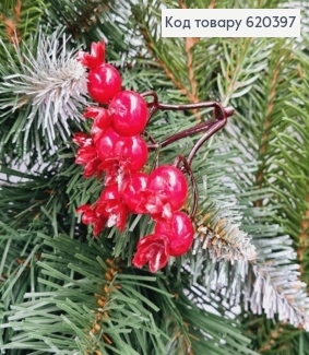 Гілочка Шипшини ЧЕРВОНА пластик, 6см 620397 фото