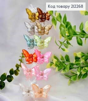 Краб пластик "Бабочка", 4,5*3см, с перламутровым отливом цвета в ассортименте. 212268 фото