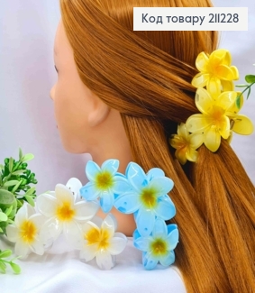 Краб пластик глянцевий, "Три Гавайські Квітки", розмір  11см, Кольори в асортименті 211228 фото