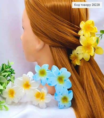 Краб пластик глянцевый, "Три Гавайских Цветка", размер 11см, Цвета в ассортименте. 211228 фото 1