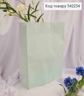 Пакет крафтовый 26*33*12см Небесный 542234 фото