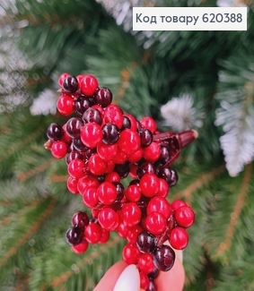 Гілочка журавлини ЧЕРВОНА з ЧОРНИМ пластистик, 5см 620388 фото