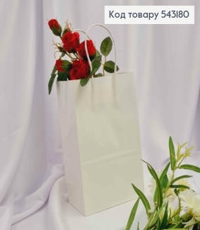 Пакет крафтовый 13*21*8см Белый 543180 фото