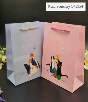 Пакет бумажный "Играющие котики" 24,5*19,5*9,5см в ассорт. 542134 фото