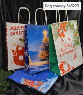 Пакет крафтовый Новогодний "Merry Christmas" в ассортименте, 27*21,5*11см 543223 фото