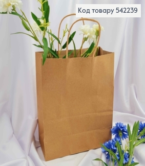 Пакет крафтовый 22*27*11см Крафтовый 542239 фото