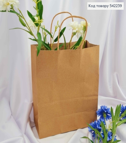 Пакет крафтовый 22*27*11см Крафтовый 542239 фото 1