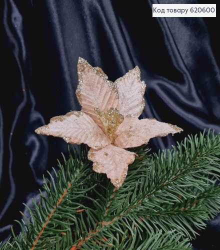 "Рождественник", Цветок Пуансетия ШАМПАНЬ+золото,(малая), бархат.диам.12-13 см на стержне,дл.10см 620600 фото 1