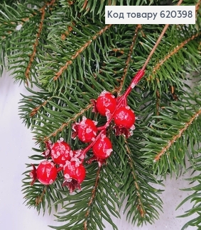 Шипшина ЧЕРВОНА з інеєм, 18см 620398 фото