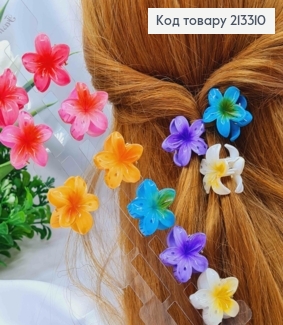 Краб пластик глянцевый "Гавайский Цветок", 3,5см, Яркие цвета в ассортименте. 213310 фото