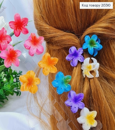 Краб пластик глянцевий "Гавайська Квітка", 3,5см, Яскраві кольори в асортименті 213310 фото 1