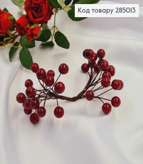 Пучок веточек калины (20шт), БОРДРОВА, на дротике 13см 285013 фото