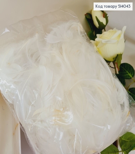 Наполнитель перья белые 10 гр 514043 фото 1