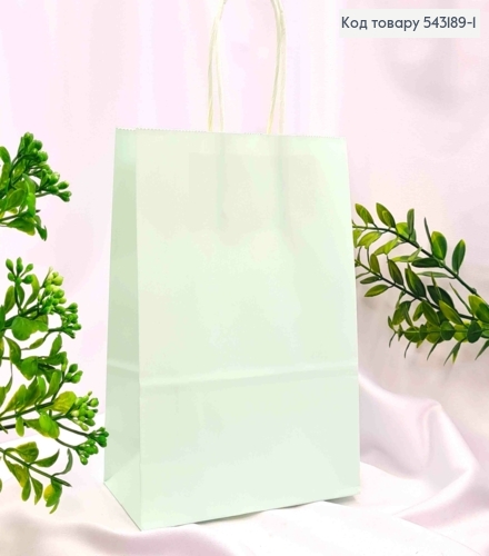 Пакет крафтовий, 16*22*8см, Бірюзовий 543189-1 фото 1