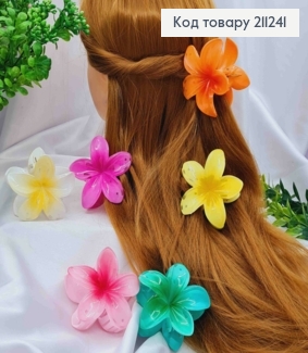 Краб пластик глянцевый "ГАВАЙСКИЙ ЦВЕТОК", 8см, Яркие цвета в ассортименте. 211241 фото