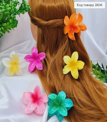 Краб пластик глянцевый "ГАВАЙСКИЙ ЦВЕТОК", 8см, Яркие цвета в ассортименте. 211241 фото 1