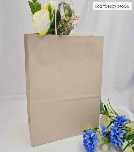 Пакет крафтовый, 22*27*11см, Серый 543186 фото 1