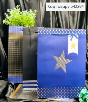 Пакет бумажный с принтом "Звезда" (в Клетку, Горошек, Линию), 32*26*10см, в ассортименте 542284 фото